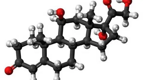 هر آنچه که باید درباره هورمون کورتیزول بدانید