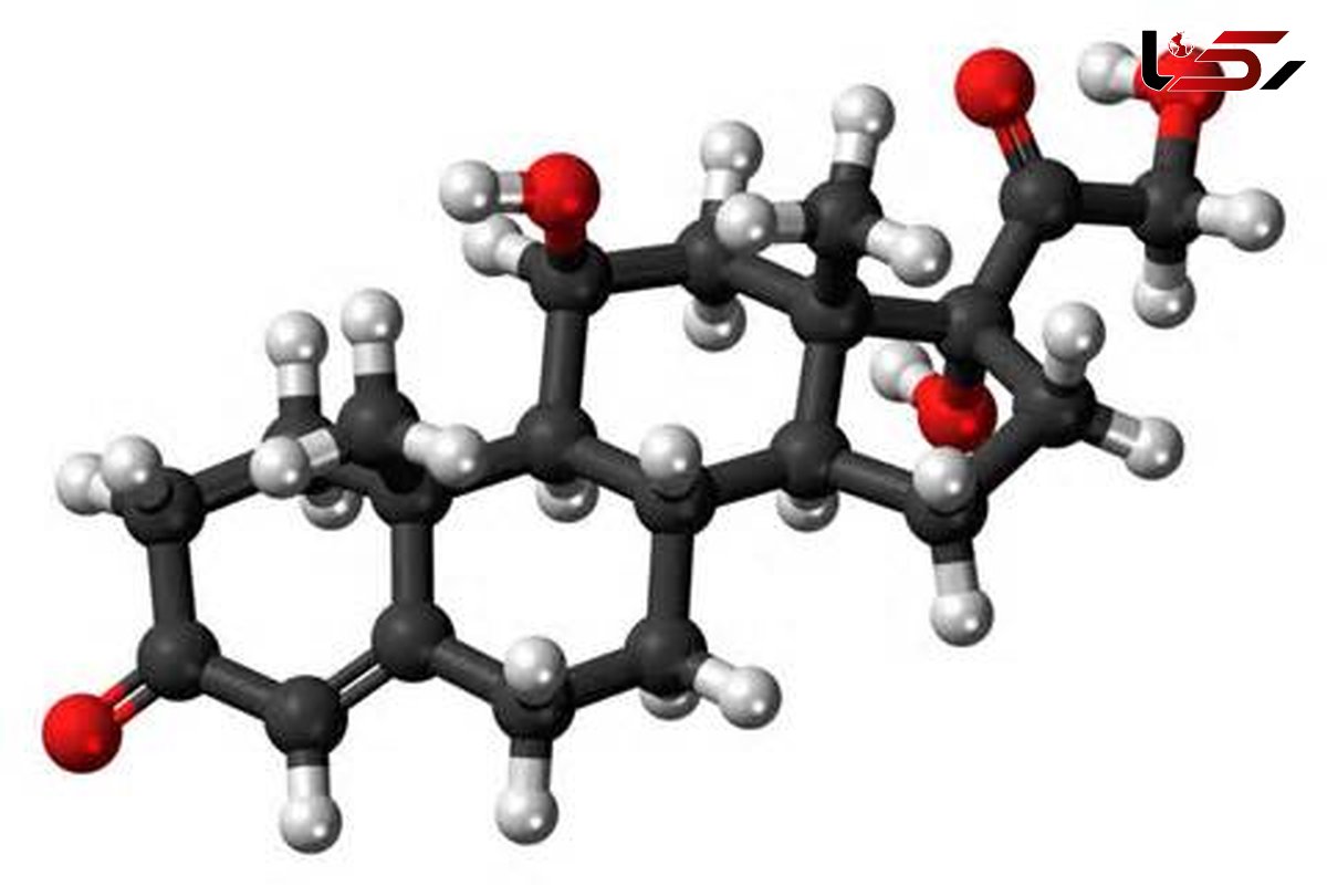 هر آنچه که باید درباره هورمون کورتیزول بدانید
