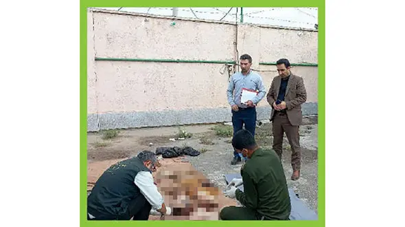 راز سر به مهر در معمای جسدی که در مشهد مثله شد + عکس