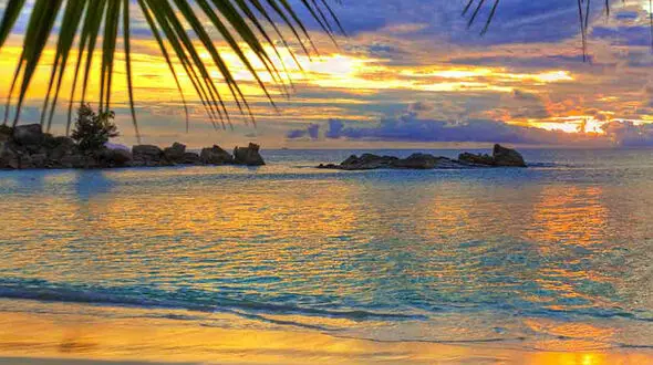 یک روز نو و تلاش برای رسیدن به هدف ها