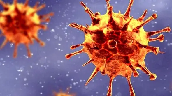 تمام باورهای اشتباه کرونایی در سالی که گذشت