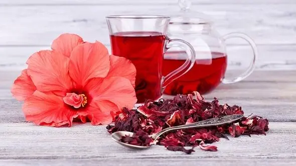 خواص ضد افسردگی چای ترش