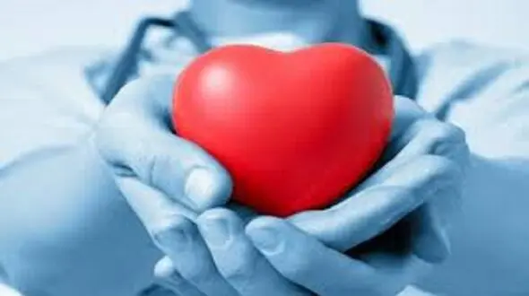 مادر شیرازی جان دوباره به 4 بیمار بخشید + جزئیات