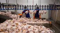 قیمت جدید مرغ، تخم مرغ و گوشت قرمز در بازار امروز