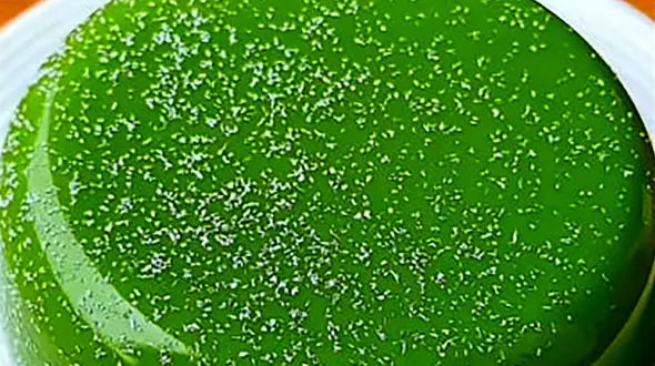 دسر خنک خیار بهترین گزینه برای فرار از گرمای تابستان / فیلم