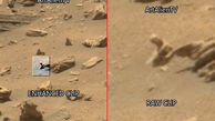 مشاهده جانوری خزنده در مریخ +تصاویر
