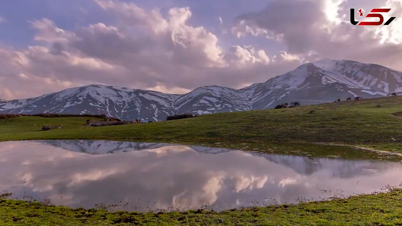 ببینید / نماهنگ بی کلام و آرامش بخش با تصاویری از پارک ملی توران + فیلم 
