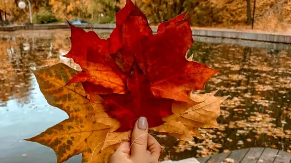 فال ابجد محشر امروز 22 مهر 