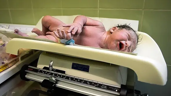  تاریخ تولدهای رند در سال 1400 