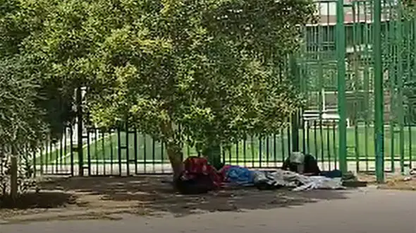 زنان کارتن خواب کرونایی، آواره کف خیابان / کسی از معتادان تست کرونا نمی گیرد! + فیلم