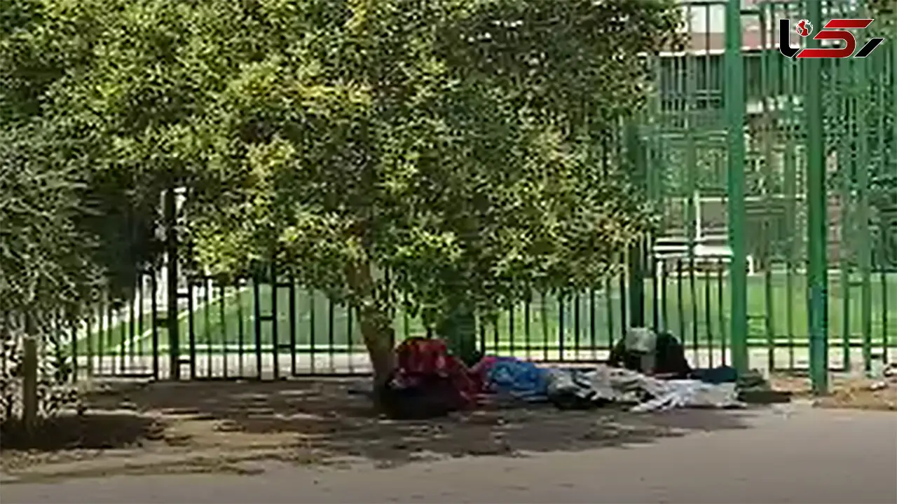 زنان کارتن خواب کرونایی، آواره کف خیابان / کسی از معتادان تست کرونا نمی گیرد! + فیلم
