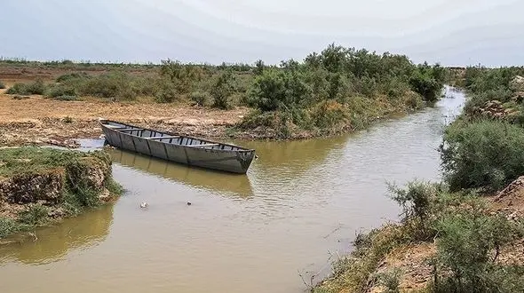 واکنش وزارت نفت به خبر خشک شدن هورالعظیم برای استخراج نفت