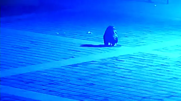 حادثه دهشتناک برای کودک ۶ ساله در انفجار چاه وسط خیابان + فیلم 