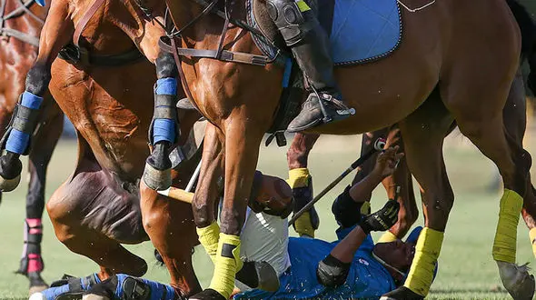  سوارکار ایرانی زیر دست و پای اسب + عکس