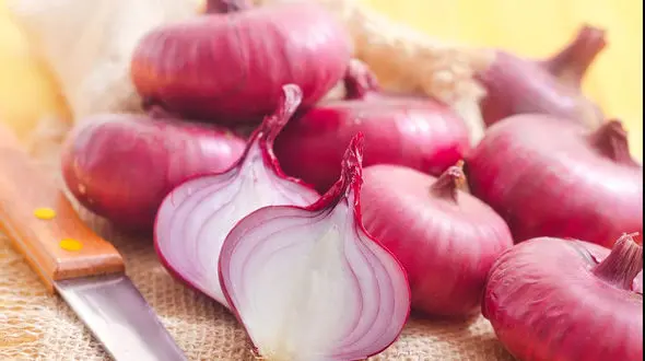 خواص ضد سرطانی پیاز قرمز کشف شد