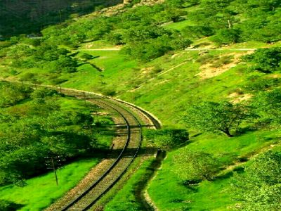 سفر به آبشار بیشه؛ تماشای زیبایی‌های جادویی / فیلم 