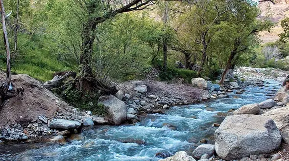 اعتراف سیاه 3 جوان از کشاندن 14 دختر تهرانی به جاده چالوس / حکم مرگ اجرا شد