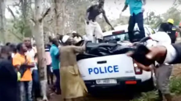 عجیب اما واقعی/20 کشته درسقوط  درخت در منطقه گردشگری +عکس