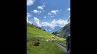 ببینید/ طبیعت کارت پستالی سوئیس + فیلم