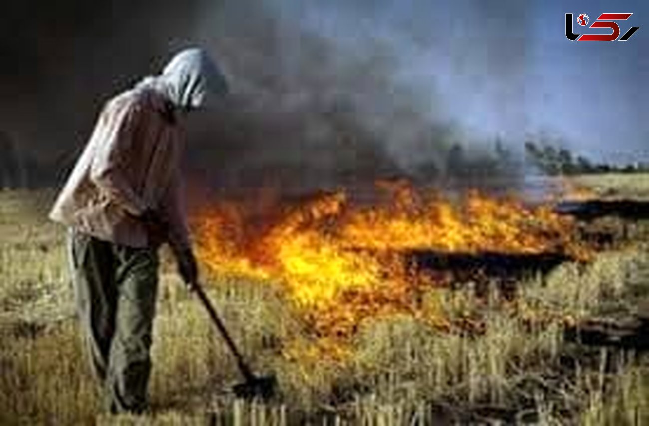 سوزاندن بقای محصولات بعد از برداشت محصول ممنوع است