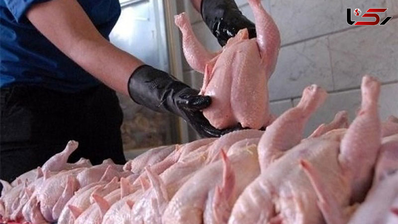 قیمت مرغ روند نزولی گرفت/کاهش 900 تومانی نرخ در بازار