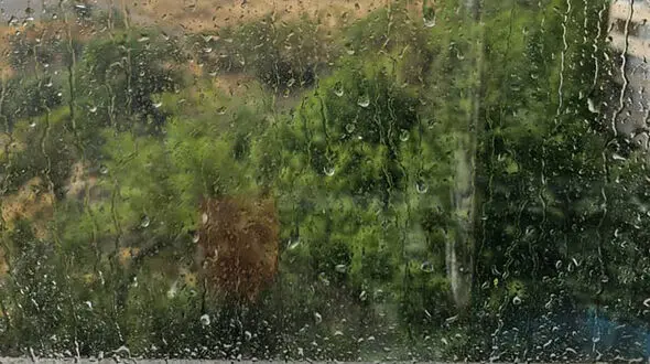 فال و طالع بینی روزانه 24 شهریور + فیلم