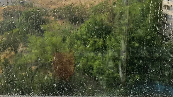 فال و طالع بینی روزانه 9 تیر + فیلم