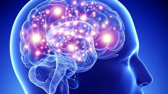 تقویت حافظه با این عصاره گیاهی