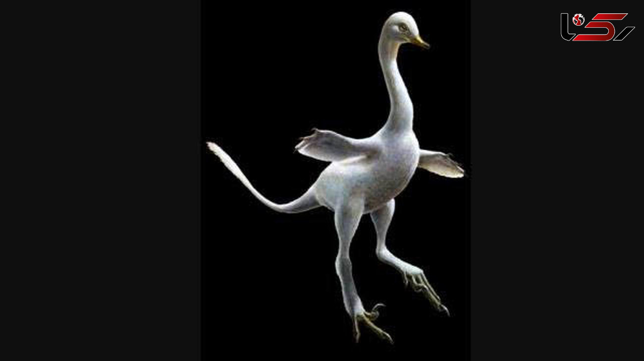 کشف فسیل 75 میلیون ساله دایناسور پردار
