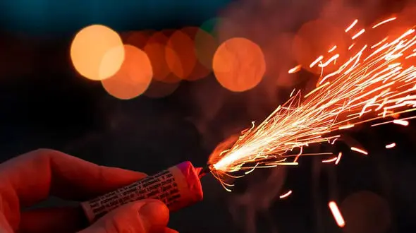 فیلم حمله مارمولک شمالی و حادثه در آتش بازی