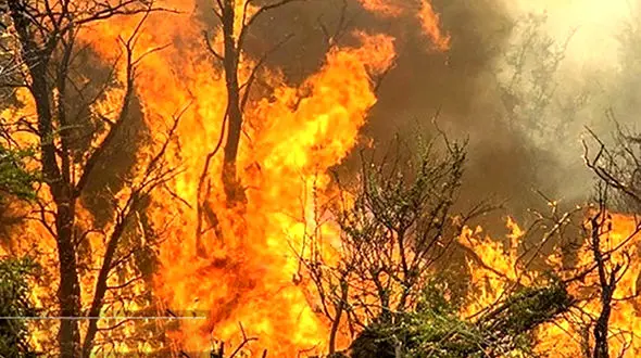 بازداشت یک کشاورز درآتش‌سوزی منطقه «تنگه قیر» چرداول 