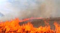 معرفی ۱۳نفر از عاملان سوزاندن بقایای کشاورزی به دادگاه در قزوین