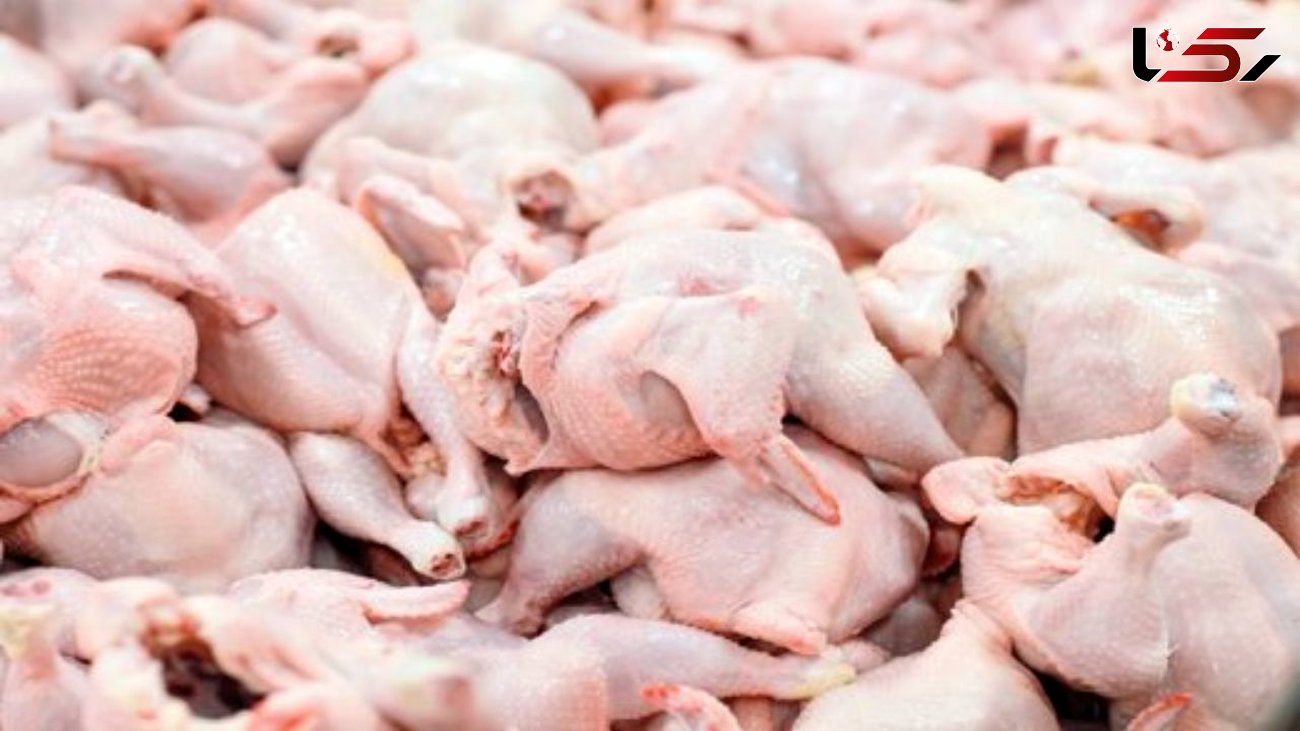 51هزار تن گوشت مرغ در کردستان تولید شد