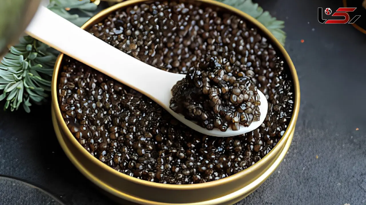 ببینید / تهیه خاویار گرانترین غذای دنیا از دریای خزر + فیلم