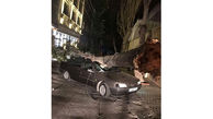 سقوط درخت عظیم الجثه بر روی پژو+ عکس