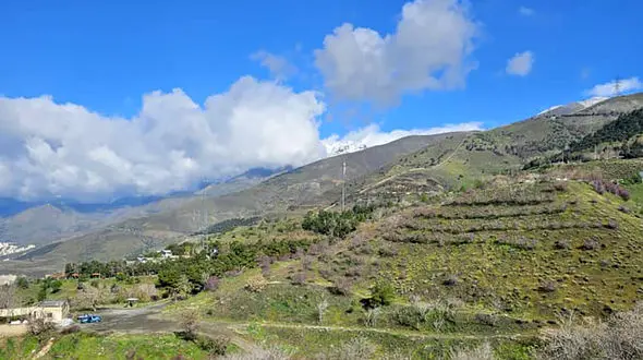 فال امروز 24 فروردین ماه + فیلم