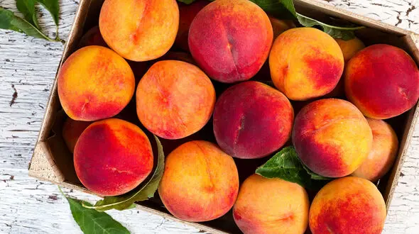 هلو برای سرماخوردگی