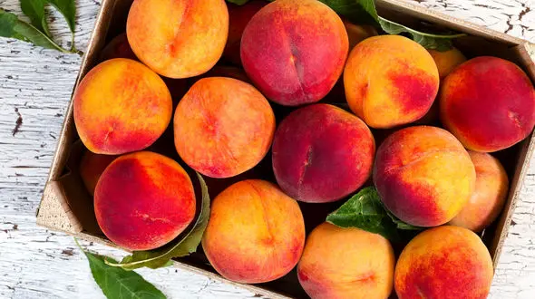 هلو برای سرماخوردگی