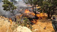 تداوم آتش سوزی جنگل ها در مرودشت
