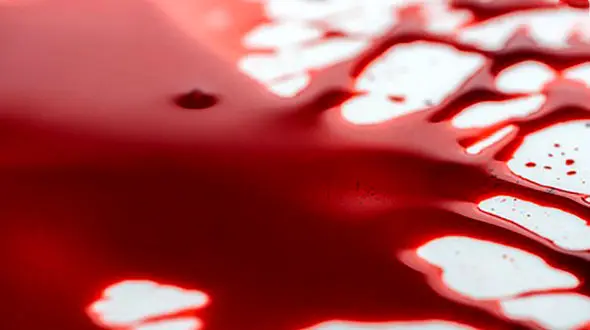 قتل دو نفر به خاطر از بین رفتن چند هندوانه در کلاله !