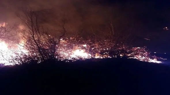 آتش سوزی جنگل ها در منطقه سیاهچال شهرستان فیروزآباد