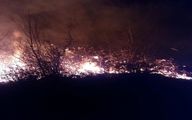 آتش سوزی جنگل ها در منطقه سیاهچال شهرستان فیروزآباد