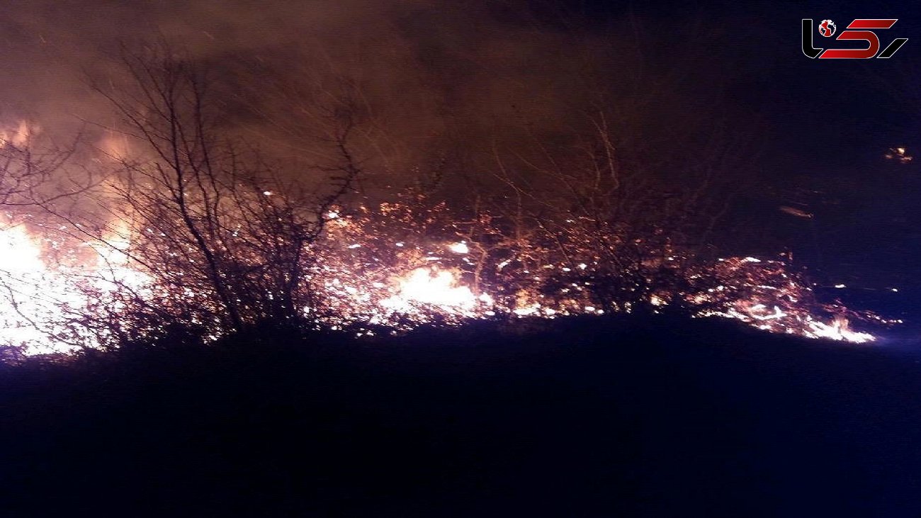 آتش سوزی جنگل ها در منطقه سیاهچال شهرستان فیروزآباد