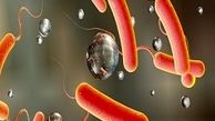 5 مورد مشکوک به وبا در کردستان شناسایی شد