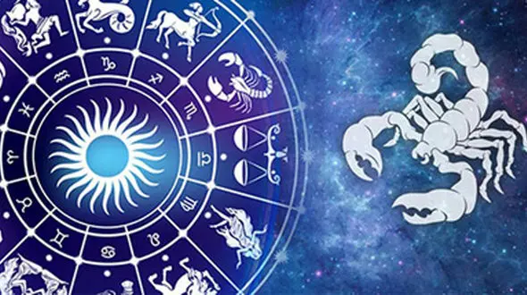 فال کلی  چهار فصل + فیلم