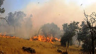  آتش بیشه زار‌های سلطان آباد رامهرمز را سوزاند