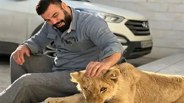 امیر علی اکبری توله شیر را تحویل سازمان محیط زیست نداد / او عکس جدیدی از توله شیر منتشر کرد!