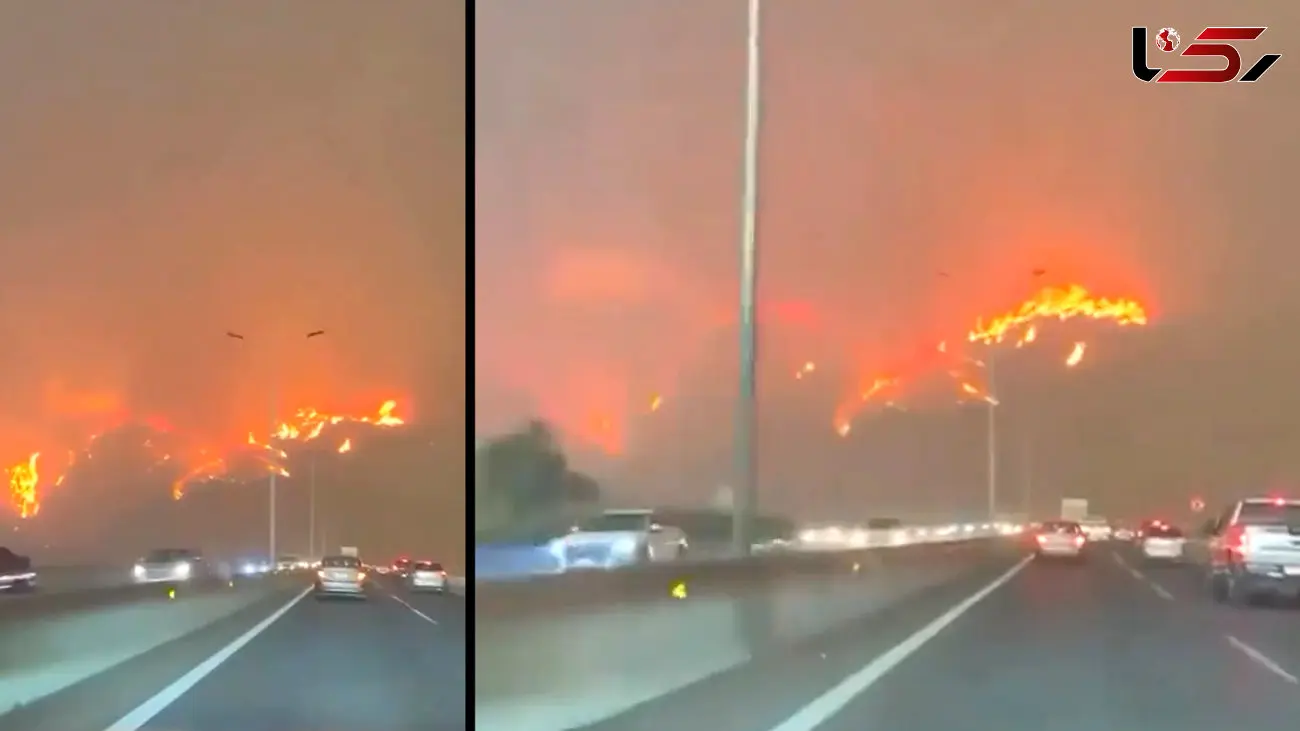 ببینید / آتش سوزی جنگل در شیلی