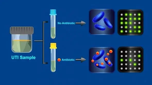 تشخیص باکتری‌های مقاوم به آنتی‌بیوتیک در کمترین زمان ممکن