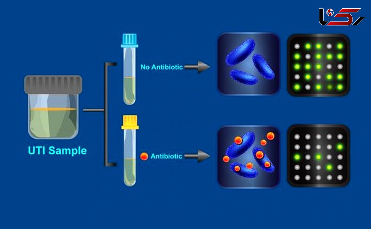 تشخیص باکتری‌های مقاوم به آنتی‌بیوتیک در کمترین زمان ممکن